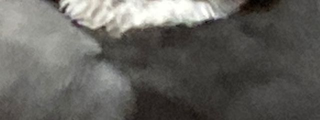 名無しの作者さんの壁紙画像