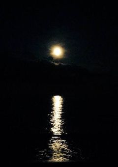 鬼殺隊最強は巨人の世界へ