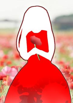 シャーレイポピー