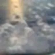 らんらんさんのアイコン画像