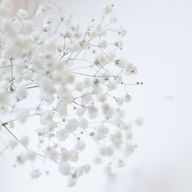 水仙花さんのアイコン画像