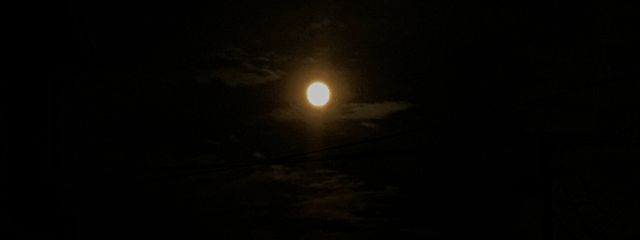 Mさんの壁紙画像