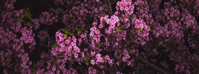 원 희さんの壁紙画像