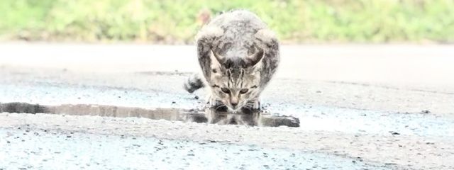 初々 ♯疲れてますさんの壁紙画像