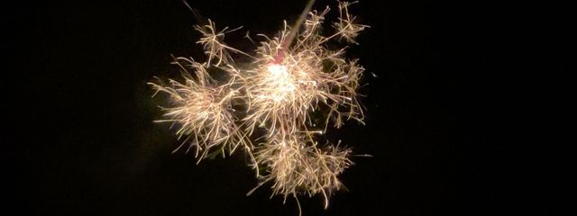 sumaru☀️さんの壁紙画像