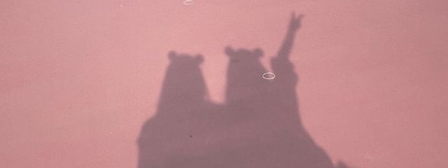 🕊️📗tomo🌕🥀さんの壁紙画像