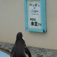 はむさんのアイコン画像