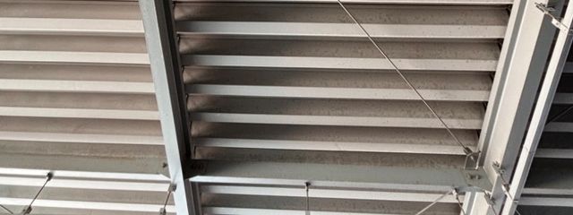 皇 瑠愛 無期限活動停止中さんの壁紙画像