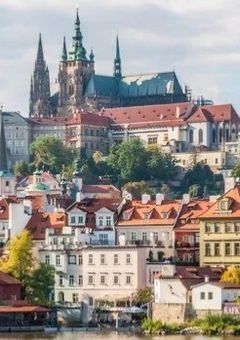 Ωの猫とαの王子様