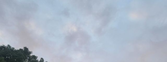 ひーさんの壁紙画像