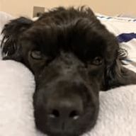 聖奈さんのアイコン画像