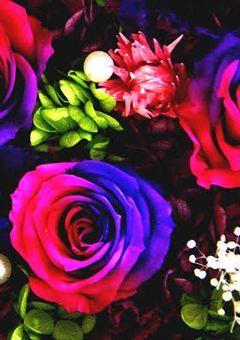 学校の有名なΩの姫くんの恋