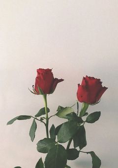 愛を知らない2人の行く末