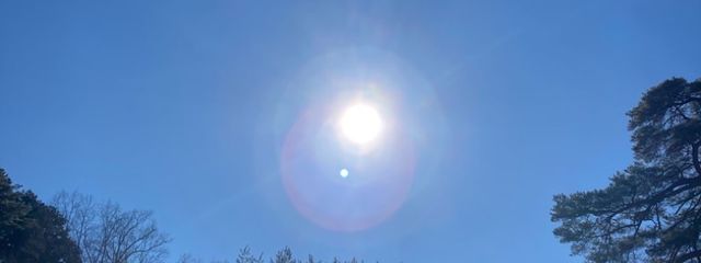 蓮依さんの壁紙画像