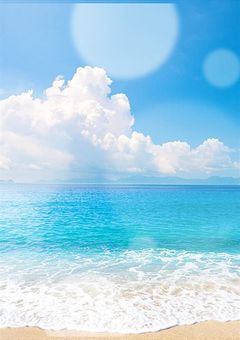 海と陸の世界