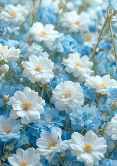 自己紹介！   (お友達募集！)