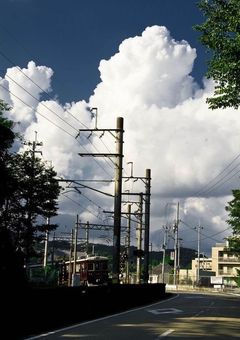 来世ではきっと