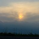 主☆（ヌッシ☆）