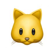 みんしゅがぁぁぁぁぁさんのアイコン画像