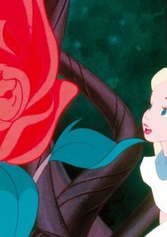 赤い薔薇は私を狂わす