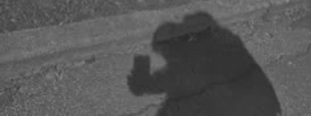 はーとさんの壁紙画像