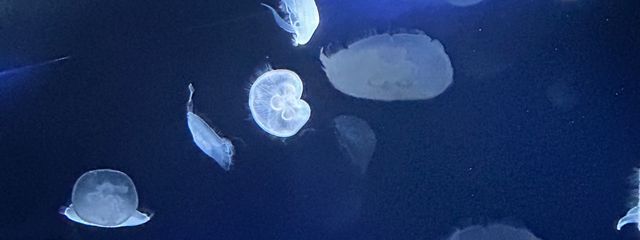 あやと@し4月は毎日投稿さんの壁紙画像