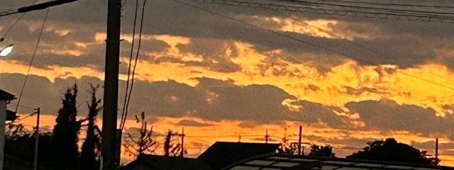 やこさんの壁紙画像