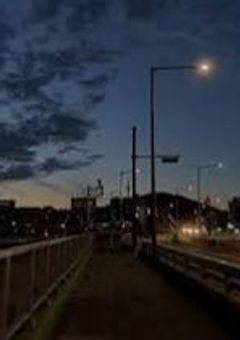 ホワイトゼラニウム続