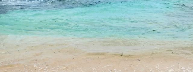 ririさんの壁紙画像