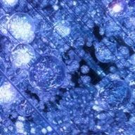 みるく🍼さんのアイコン画像