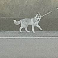 つかれたこねこさんのアイコン画像