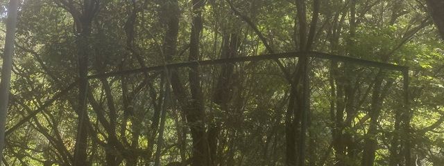 海王星の核心さんの壁紙画像