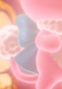 PTuber事務所を作りたい…！！