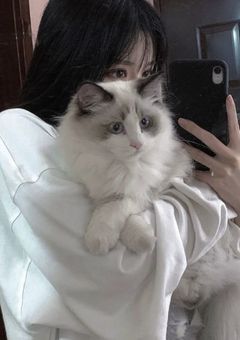 ♡ֺּ ˚ִִ𓈒絶対アイドル辞めないで. °♡ ݁݁. ˖