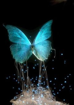 貴方と出会えて本当に良かった