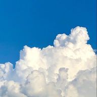 伊織さんのアイコン画像