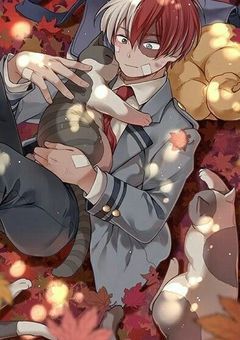 過去を隠した最強陽キャ雄英高校にいざ降臨☆