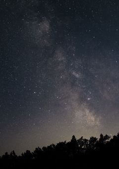 　’’　花束を君に贈ろう　’’　．