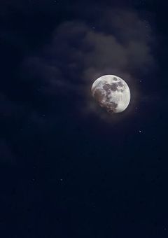 　New Moon .