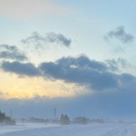 ツナマヨおにぎりさんのアイコン画像