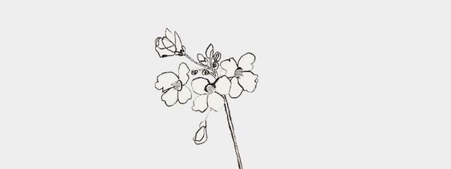 狐白 なつさんの壁紙画像