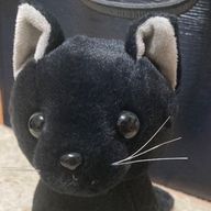 猫好き🐈‍⬛さんのアイコン画像