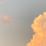 クッキーさんのアイコン画像