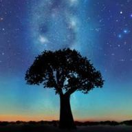 Layerさんのアイコン画像