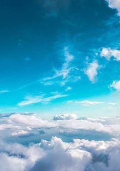 飼ってた犬が最近人間になった件.