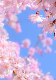 世界はうつくしいと