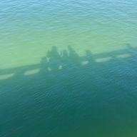 あさんのアイコン画像