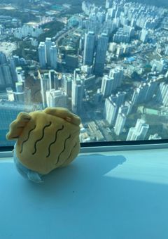 韓国旅行日記🇰🇷