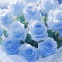 💙