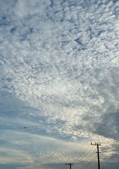 貴方の夏。